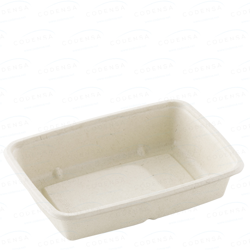 envase-fibra-cana-de-azucar-compostable-1050ml-rectangular-natural-anonimo-16x23x6cm-300-uds