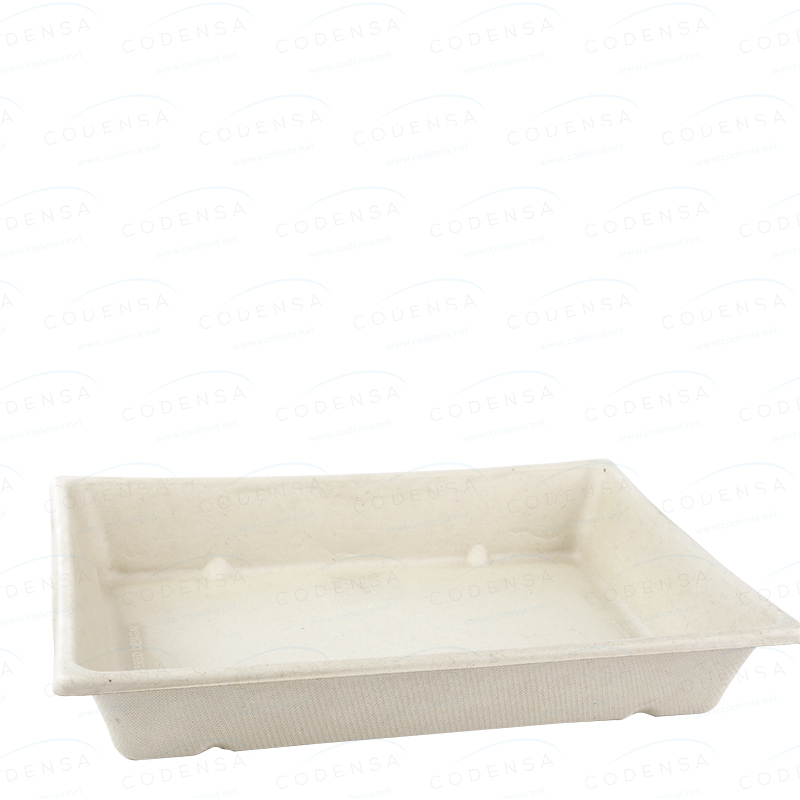 envase-fibra-caña-de-azucar-compostable-750ml-rectangular-natural-anonimo-16x22x3cm-300-uds